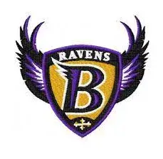 Football Jerseys Sample