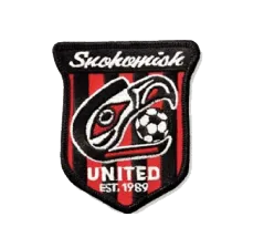 T Shirt Printing Sample